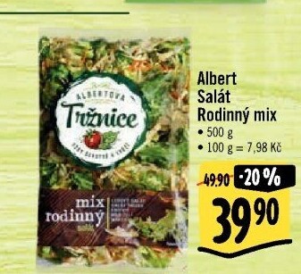 Salát rodinný mix Albert