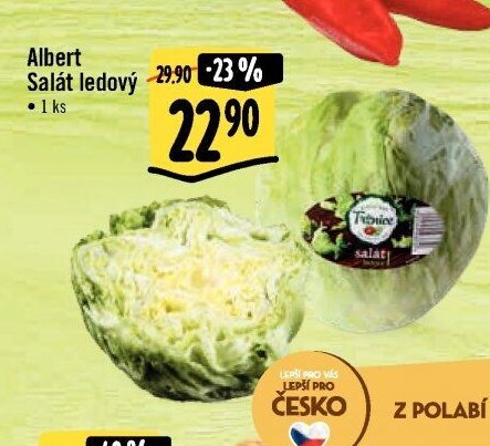 Albert Salát ledový