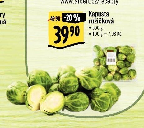 Kapusta růžičková