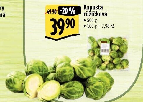Kapusta růžičková