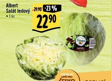 Salát ledový Albert