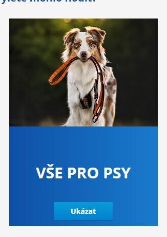 VŠE PRO PSY