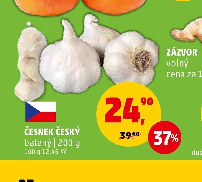 ČESNEK ČESKÝ balený