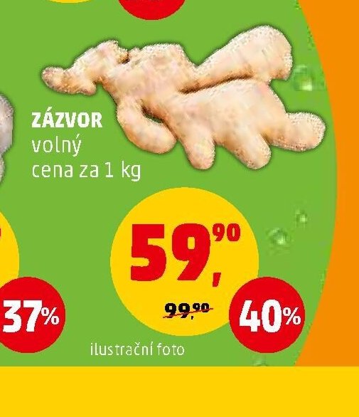ZÁZVOR volný