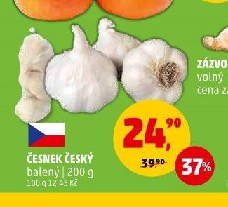 ČESNEK ČESKÝ