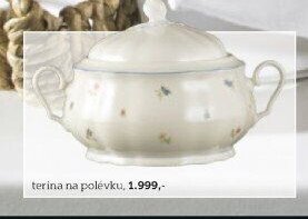 terina na polévku