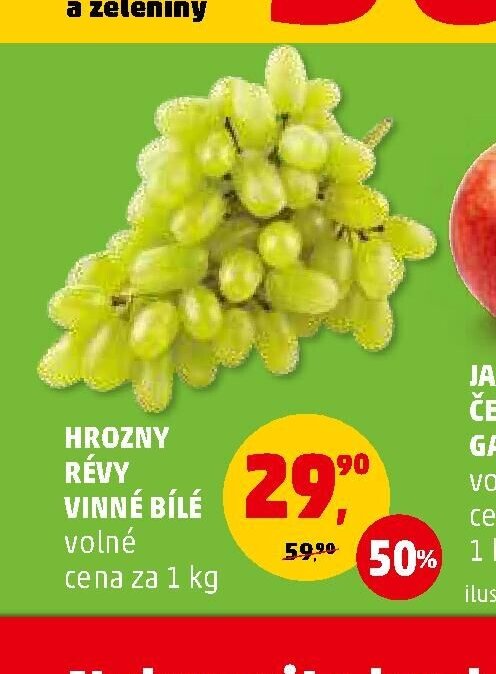 Hrozny révy vinné bílé