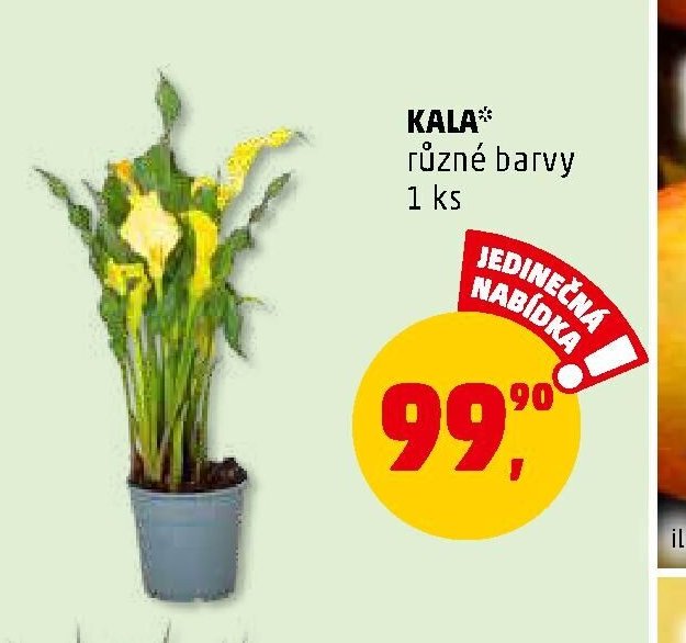 KALA