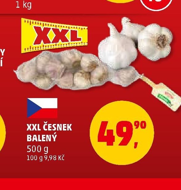 XXL Česnek balený