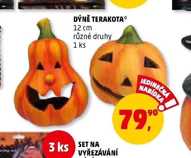 Dýně terakota