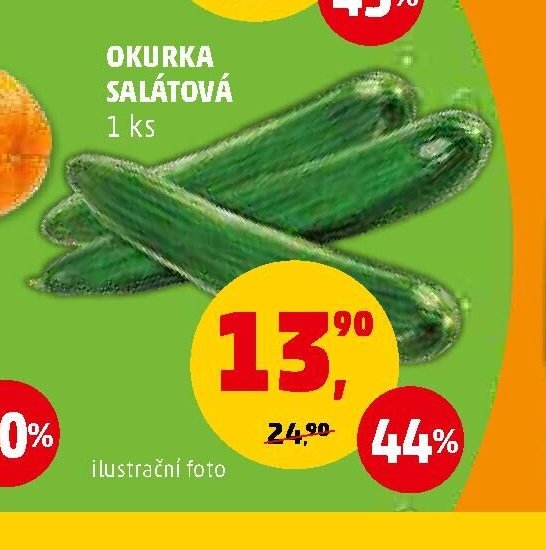 OKURKA SALÁTOVÁ