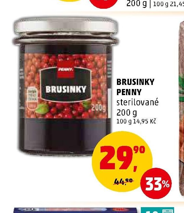 BRUSINKY PENNY