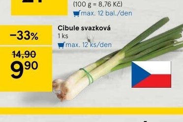 Cibule svazková