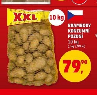 Brambory konzumní pozdní