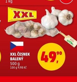 XXL Česnek balený