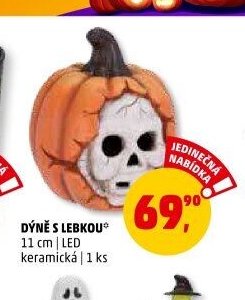 DÝNĚ S LEBKOU