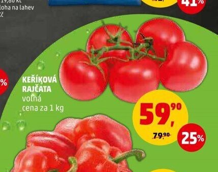 Keříková rajčata