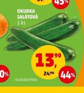 OKURKA SALÁTOVÁ