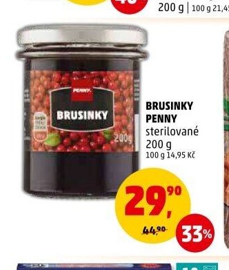 BRUSINKY PENNY