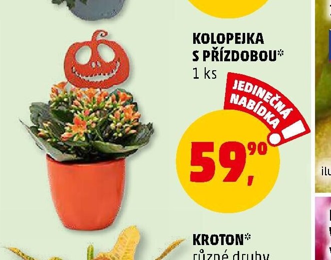 KOLOPEJKA S PŘÍZDOBOU