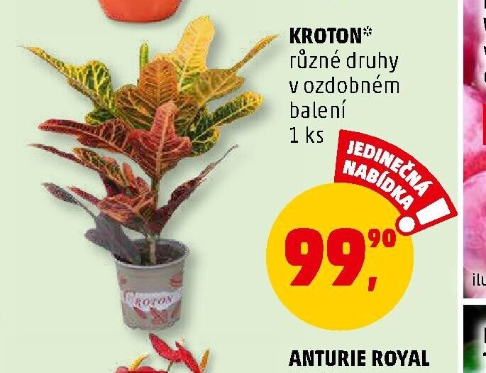 KROTON