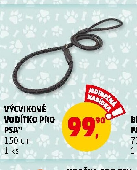 Výcvikové vodítko pro psa