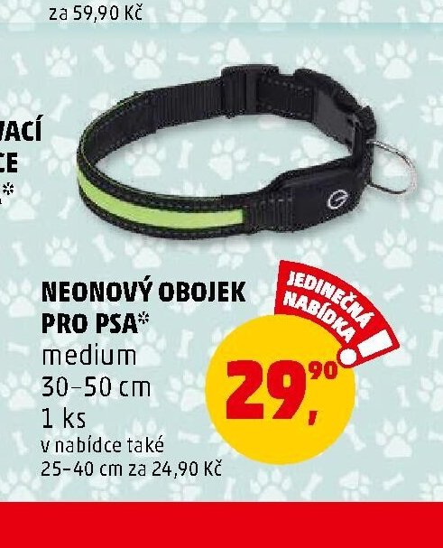 Neonový obojek pro psa