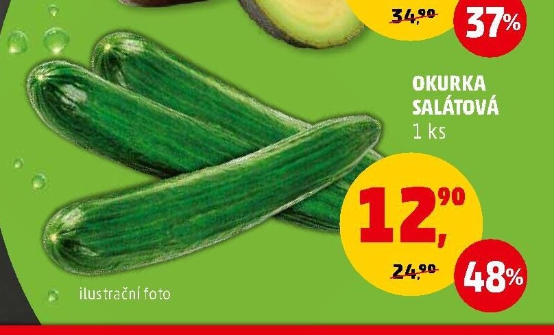 Okurka salátová