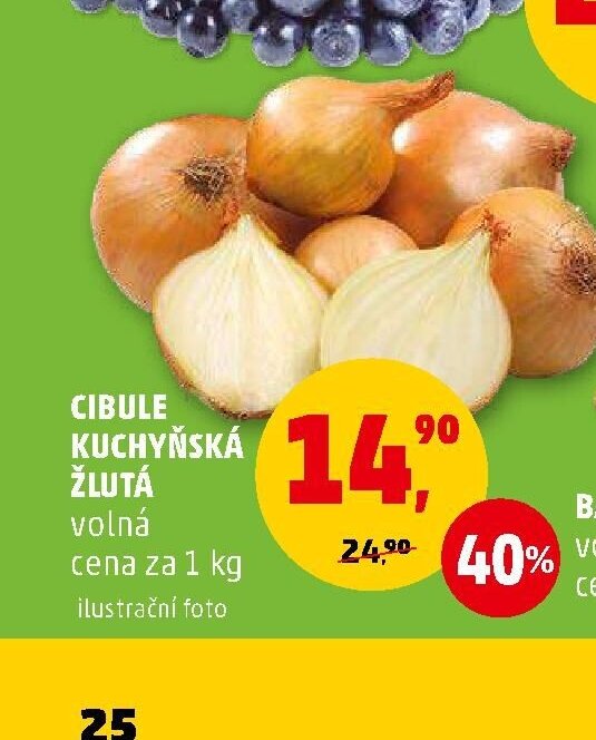 CIBULE KUCHYŇSKÁ ŽLUTÁ volná