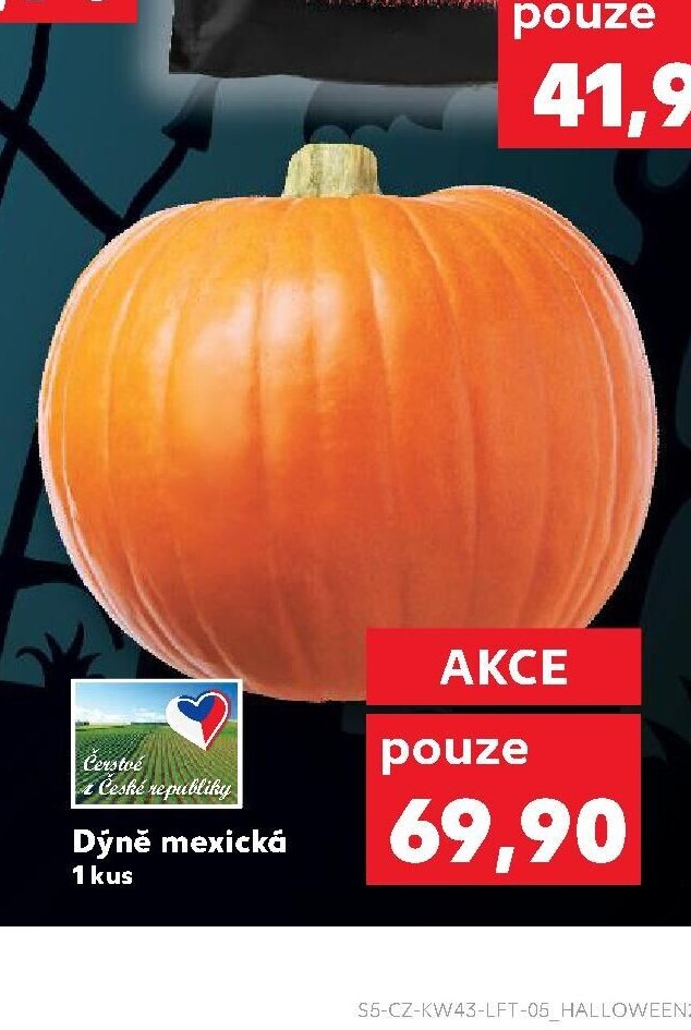 Dýně mexická