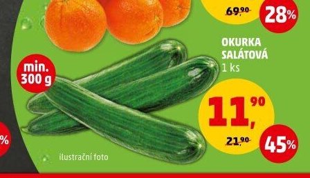Okurka salátová