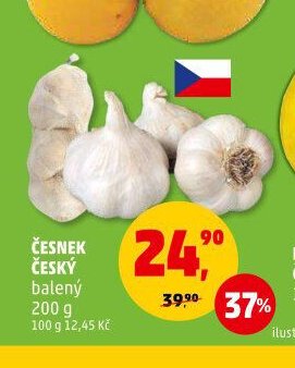 ČESNEK ČESKÝ