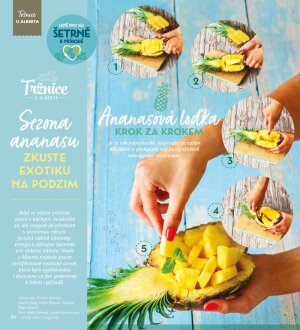 akční leták Albert 2.11.2022-29.11.2022