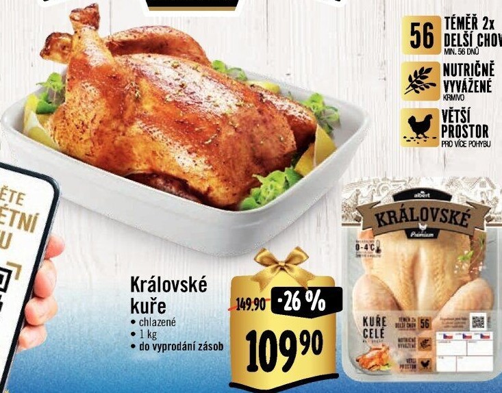 Královské kuře Albert