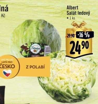 Salát ledový Albert