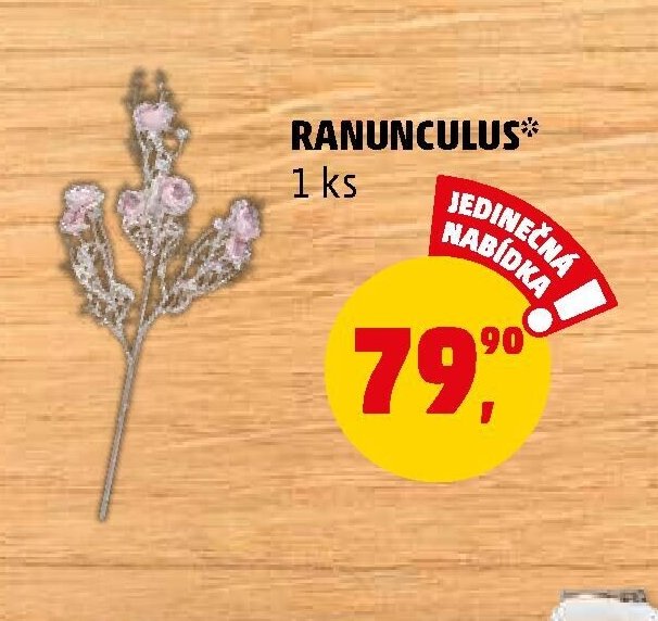 RANUNCULUS