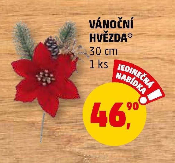 VÁNOČNÍ HVĚZDA