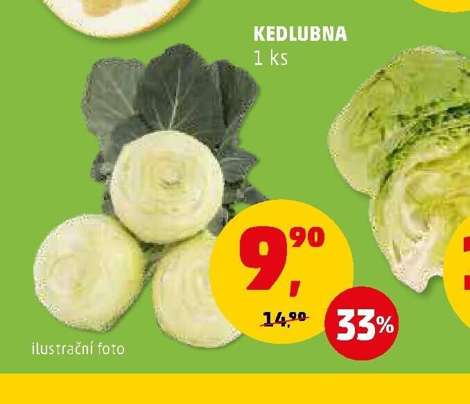 KEDLUBNA