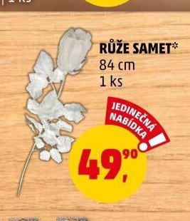 RŮŽE SAMET