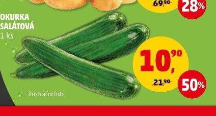 OKURKA SALÁTOVÁ