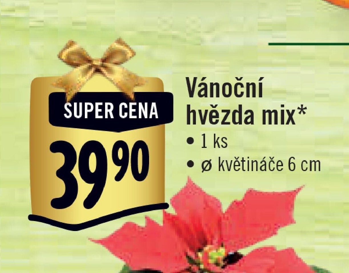 Vánoční hvězda mix
