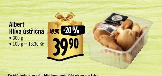 Hlíva ústřičná Albert