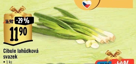 Jarní cibule svazek