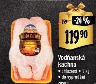 Kachna Vodňanská kachna