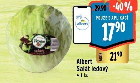 Salát ledový Albert