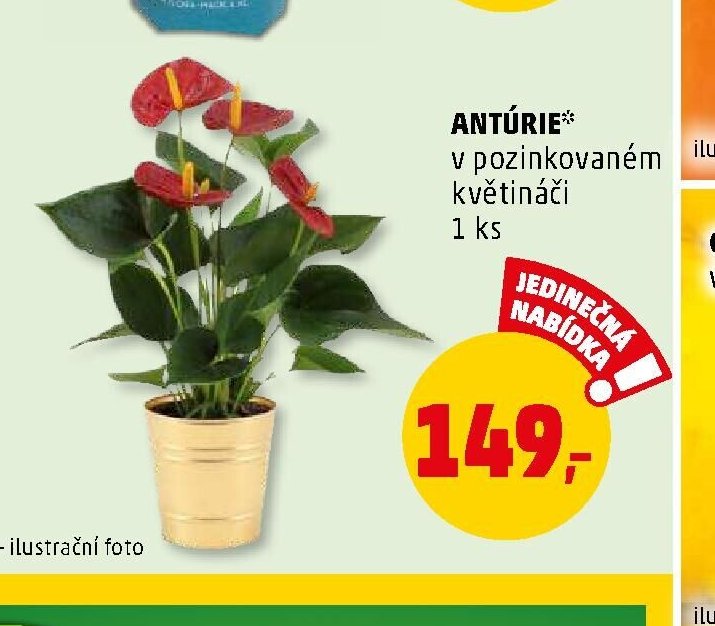 ANTÚRIE