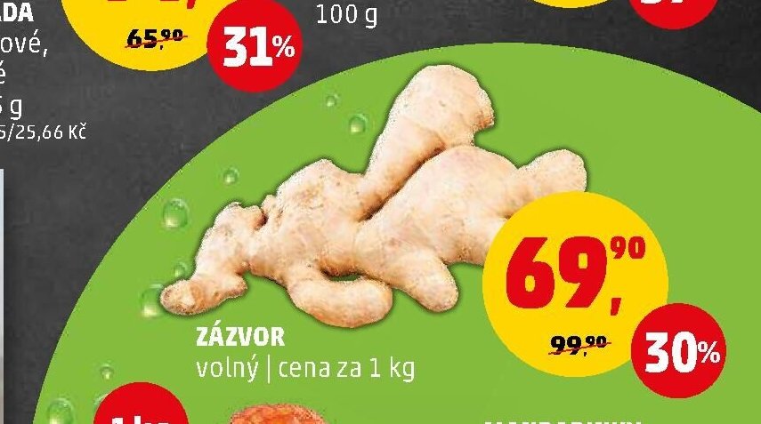 Zázvor