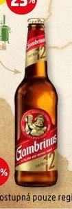 GAMBRINUS PATRON