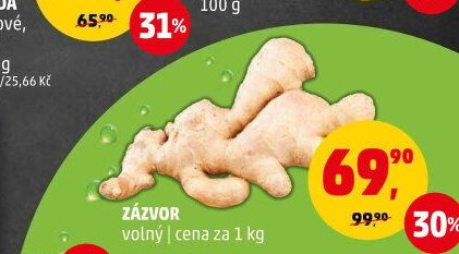 ZÁZVOR