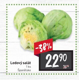 Ledový salát